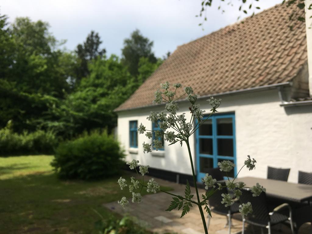 Skovhuset Villa Uggerby Dış mekan fotoğraf